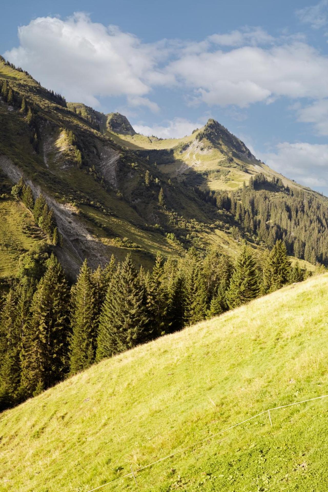 Alpenstolz Damuels Haus 4 - Stilvoll Urlauben In Den Bergen Apartment Luaran gambar