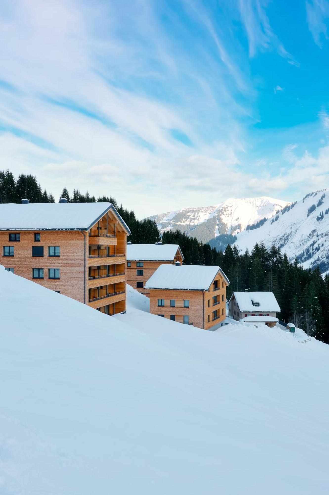 Alpenstolz Damuels Haus 4 - Stilvoll Urlauben In Den Bergen Apartment Luaran gambar